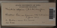 Image Associated With the Occurence